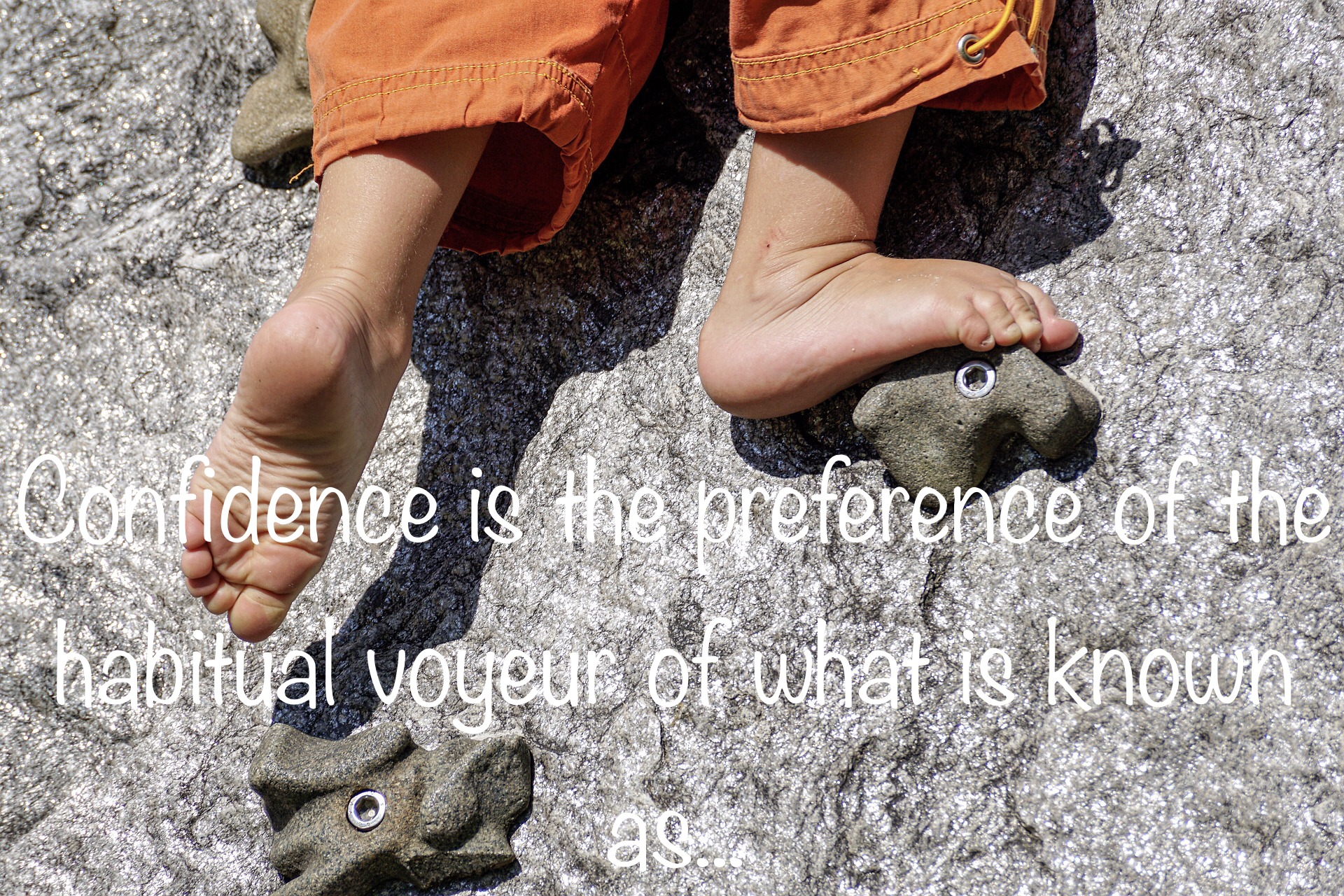 Confidence is the preference of the habitual voyeur of what is known as...